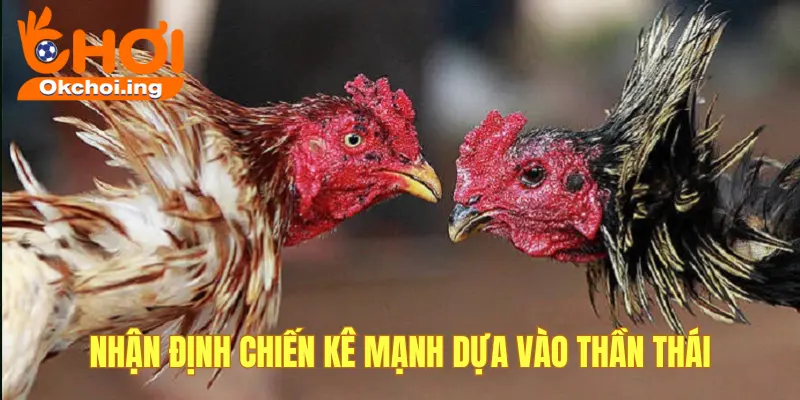 Nhận định qua ánh mắt, thần thái