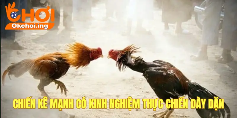 Dựa vào kinh nghiệm thực chiến