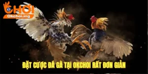 Hướng dẫn chơi đá gà OKCHOI